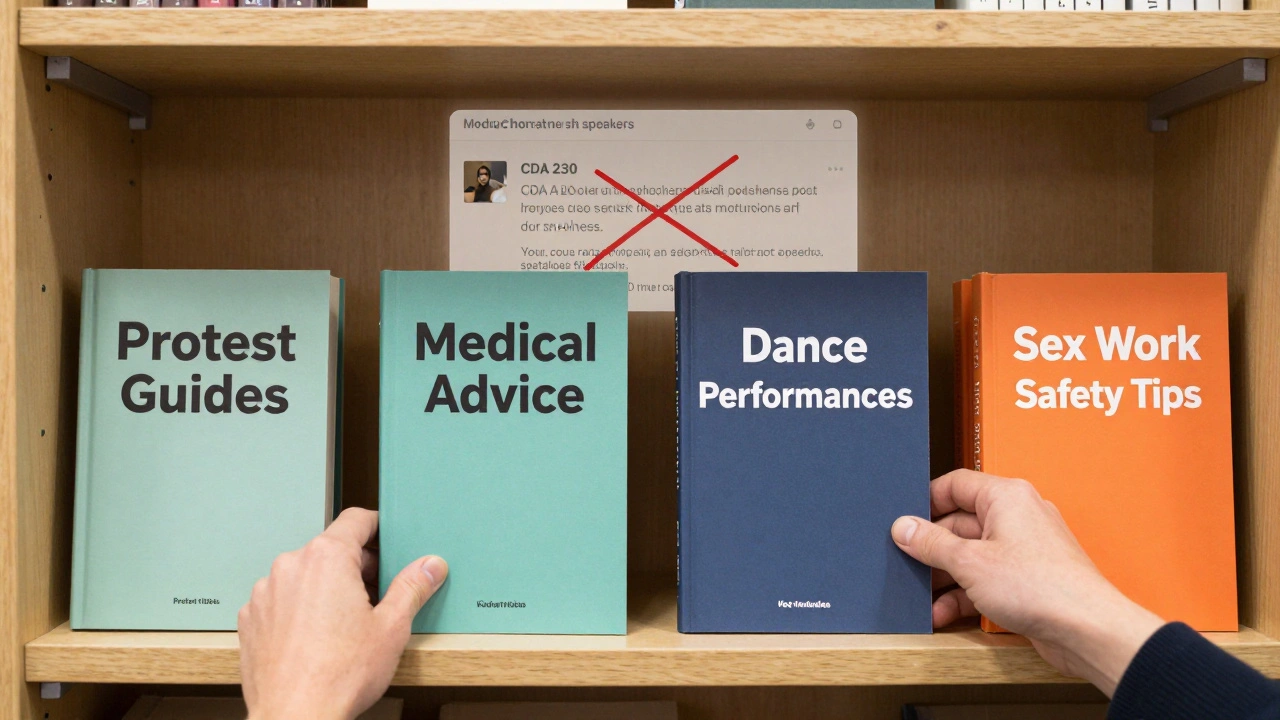 Bookshelf with diverse titles including sex work safety tips, symbolizing equal protection under free speech.