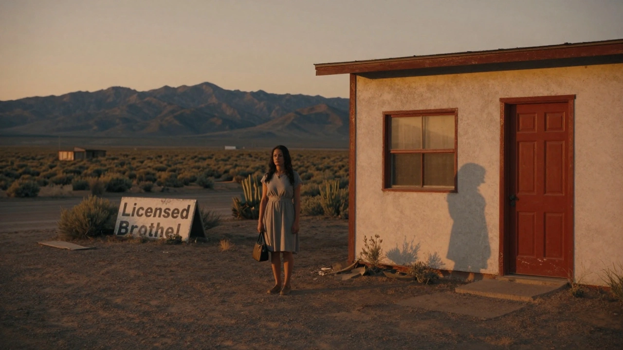 Sex Work Laws by State: A U.S. Overview for Workers and Advocates